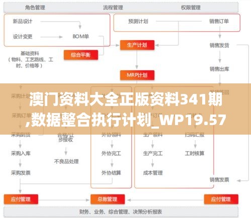 澳门资料大全正版资料341期,数据整合执行计划_WP19.579