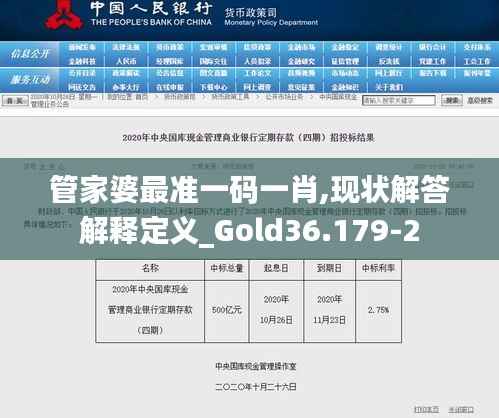 管家婆最准一码一肖,现状解答解释定义_Gold36.179-2