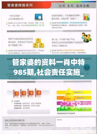 管家婆的资料一肖中特985期,社会责任实施_味道版RWN34.455