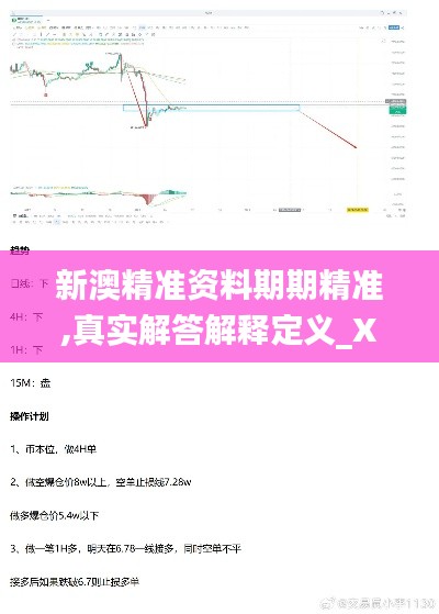 新澳精准资料期期精准,真实解答解释定义_X版74.116-6