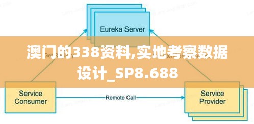 澳门的338资料,实地考察数据设计_SP8.688