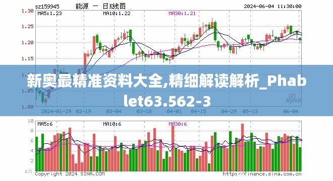 新奥最精准资料大全,精细解读解析_Phablet63.562-3