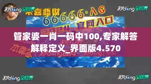 管家婆一肖一码中100,专家解答解释定义_界面版4.570