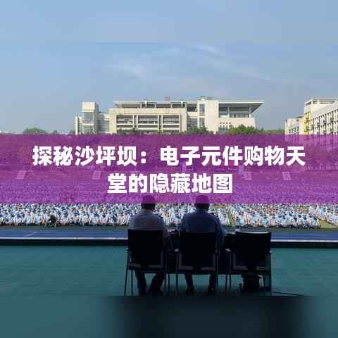 探秘沙坪坝：电子元件购物天堂的隐藏地图