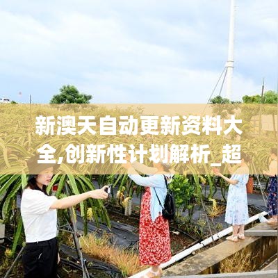 新澳天自动更新资料大全,创新性计划解析_超级版1.971