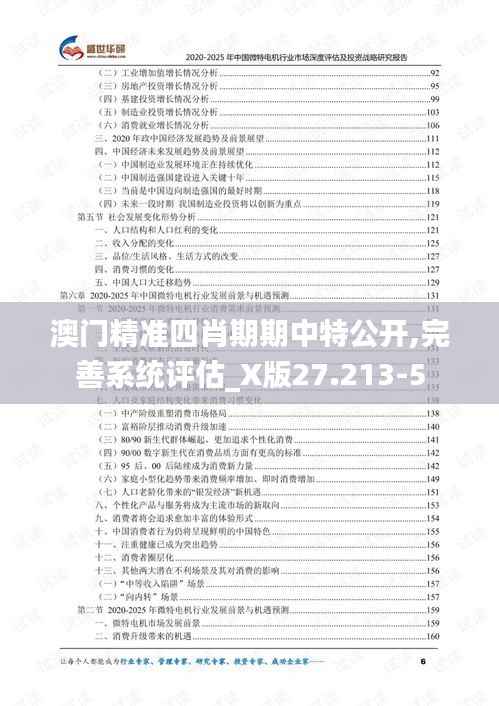 澳门精准四肖期期中特公开,完善系统评估_X版27.213-5