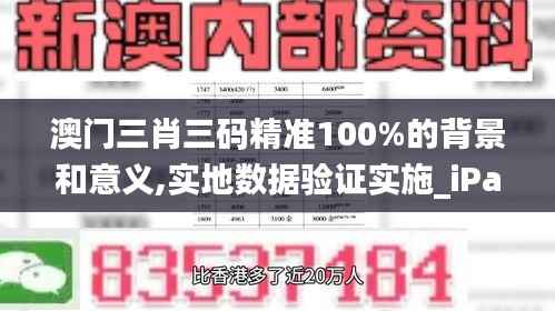 澳门三肖三码精准100%的背景和意义,实地数据验证实施_iPad81.184-2