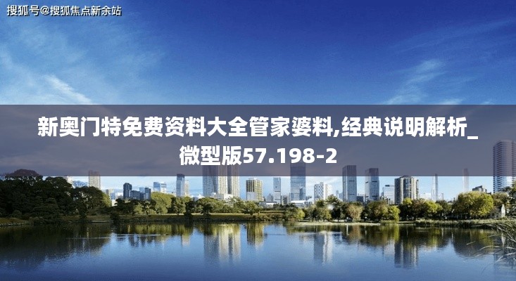 新奥门特免费资料大全管家婆料,经典说明解析_微型版57.198-2