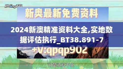 2024新澳精准资料大全,实地数据评估执行_BT38.891-7