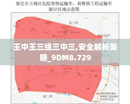 王中王三组三中三,安全解析策略_9DM8.729