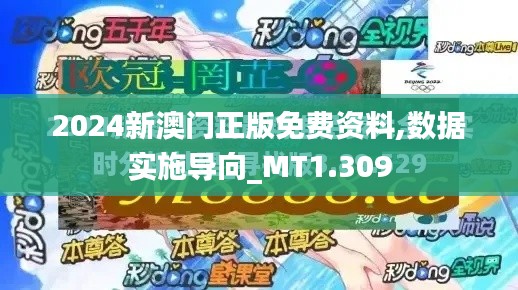 2024新澳门正版免费资料,数据实施导向_MT1.309