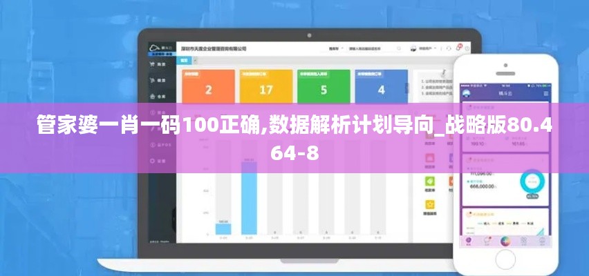 管家婆一肖一码100正确,数据解析计划导向_战略版80.464-8