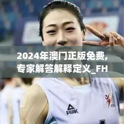 2024年澳门正版免费,专家解答解释定义_FHD版77.769-3