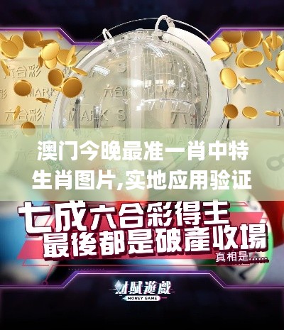 澳门今晚最准一肖中特生肖图片,实地应用验证数据_9DM7.260