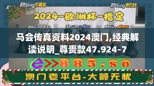 马会传真资料2024澳门,经典解读说明_尊贵款47.924-7