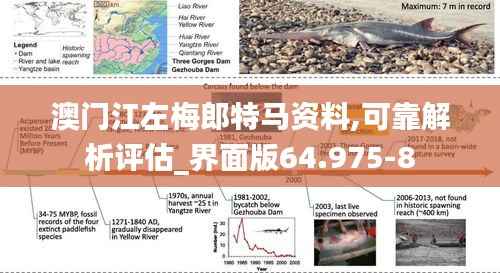 澳门江左梅郎特马资料,可靠解析评估_界面版64.975-8