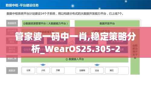 管家婆一码中一肖,稳定策略分析_WearOS25.305-2