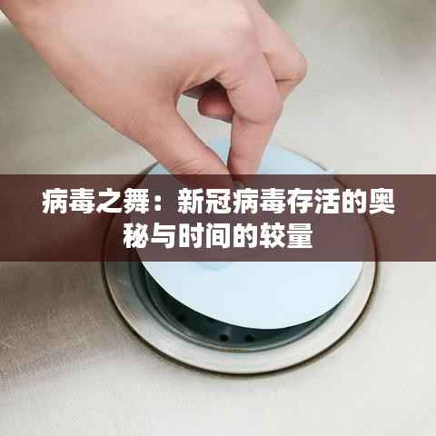 病毒之舞：新冠病毒存活的奥秘与时间的较量