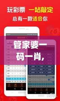 管家婆一码一肖,预测解读说明_进阶版157.886-3