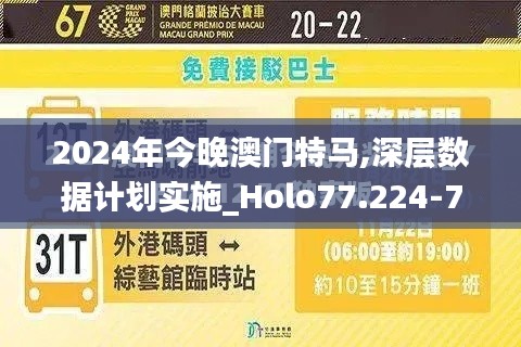 2024年今晚澳门特马,深层数据计划实施_Holo77.224-7