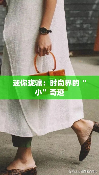 迷你珑骧:时尚界的“小”奇迹