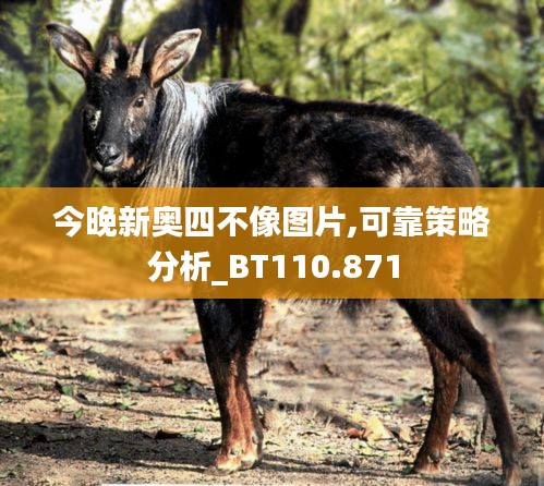 今晚新奥四不像图片,可靠策略分析_BT110.871