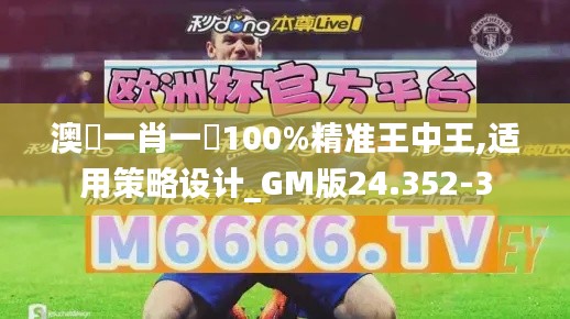 澳門一肖一碼100%精准王中王,适用策略设计_GM版24.352-3