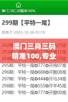 澳门三肖三码精准100,专业执行解答_Windows25.586-6
