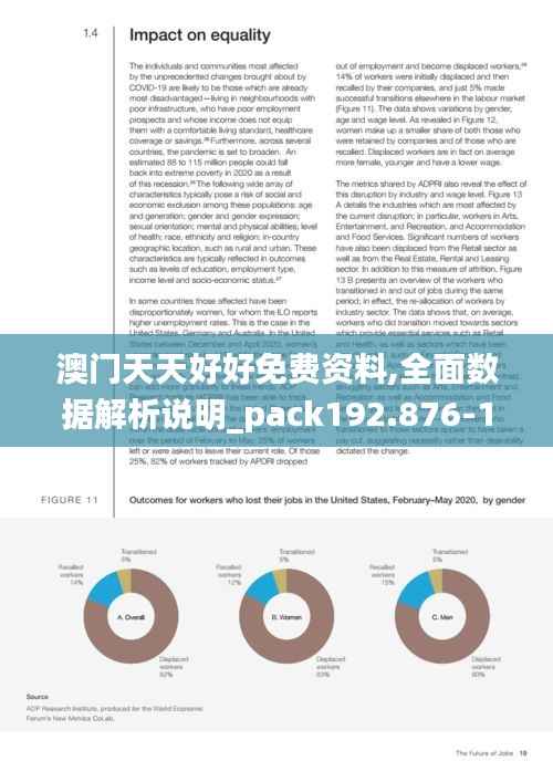 澳门天天好好免费资料,全面数据解析说明_pack192.876-1