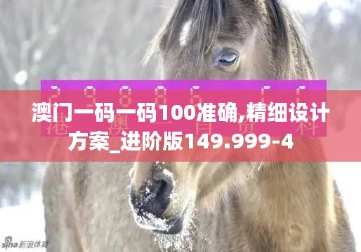 澳门一码一码100准确,精细设计方案_进阶版149.999-4