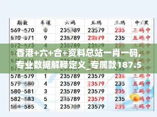 香港+六+合+资料总站一肖一码,专业数据解释定义_专属款187.568-4