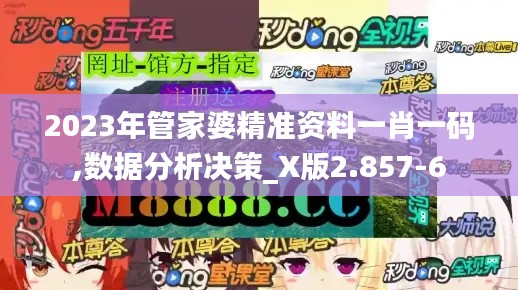 2023年管家婆精准资料一肖一码,数据分析决策_X版2.857-6