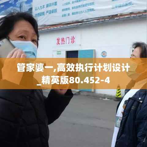 管家婆一,高效执行计划设计_精英版80.452-4