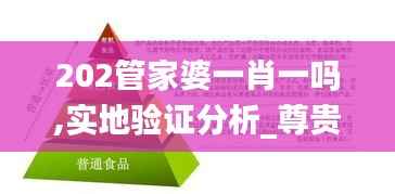 202管家婆一肖一吗,实地验证分析_尊贵版12.391-3