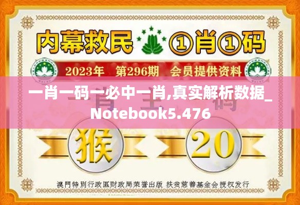 一肖一码一必中一肖,真实解析数据_Notebook5.476