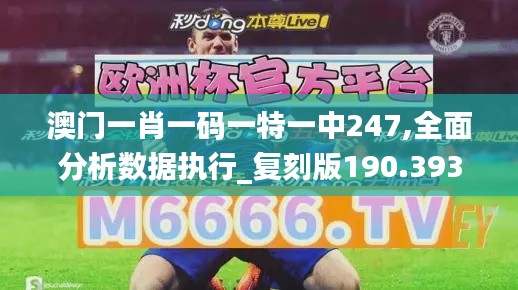 澳门一肖一码一特一中247,全面分析数据执行_复刻版190.393-8