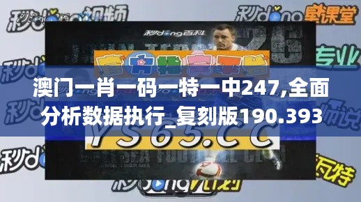 澳门一肖一码一特一中247,全面分析数据执行_复刻版190.393-8