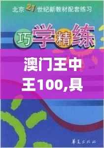 澳门王中王100,具体实施指导_2DM13.937-7