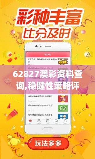62827澳彩资料查询,稳健性策略评估_YE版2.264