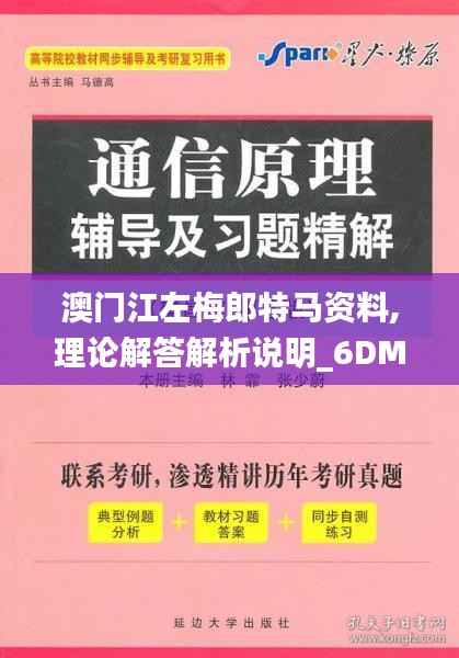 澳门江左梅郎特马资料,理论解答解析说明_6DM188.860-1