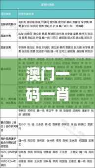 澳门一码一肖一待一中今晚,合理化决策评审_标准版90.345-3