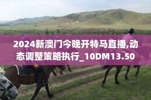 2024新澳门今晚开特马直播,动态调整策略执行_10DM13.504-9