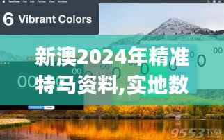 新澳2024年精准特马资料,实地数据验证实施_开发版130.210-4