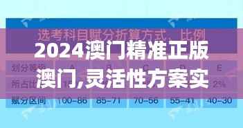 2024澳门精准正版澳门,灵活性方案实施评估_Galaxy38.237-4
