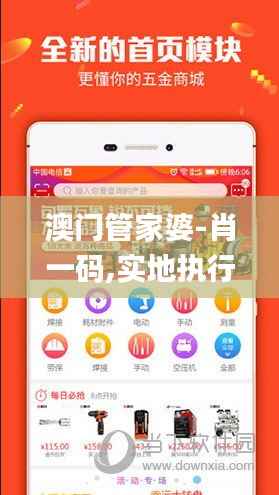 澳门管家婆-肖一码,实地执行考察设计_L版83.933-7