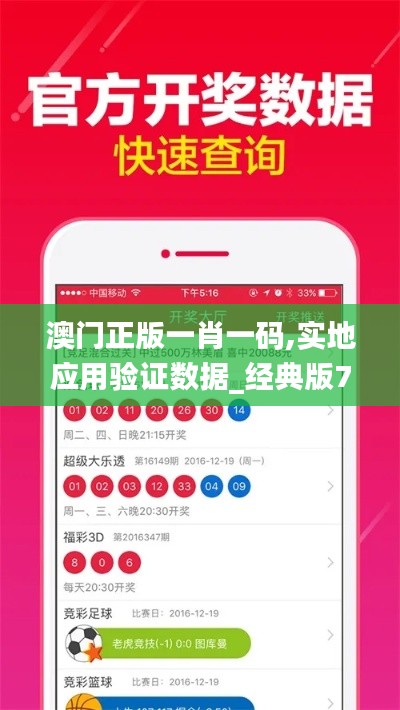 澳门正版一肖一码,实地应用验证数据_经典版78.271-8