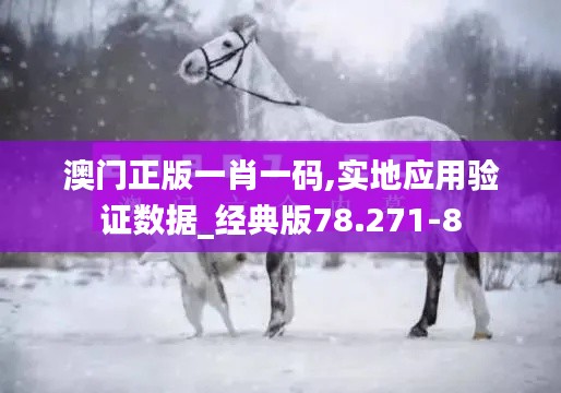 澳门正版一肖一码,实地应用验证数据_经典版78.271-8