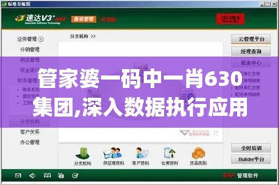 管家婆一码中一肖630集团,深入数据执行应用_DX版11.337