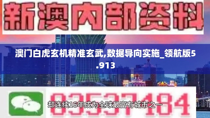 澳门白虎玄机精准玄武,数据导向实施_领航版5.913