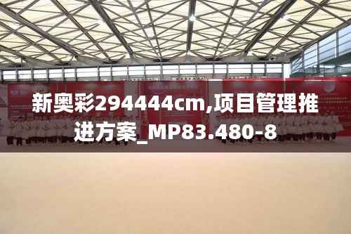 新奥彩294444cm,项目管理推进方案_MP83.480-8